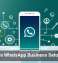 AI Makes WhatsApp Business Setup Easier